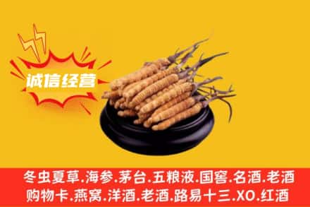 北京回收冬虫夏草